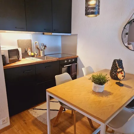 Au Coeur Des Alpes Et Parking Gratuit Apartment *