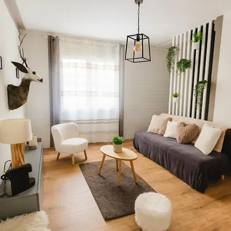 公寓 Au Coeur Des Alpes Et Parking Gratuit